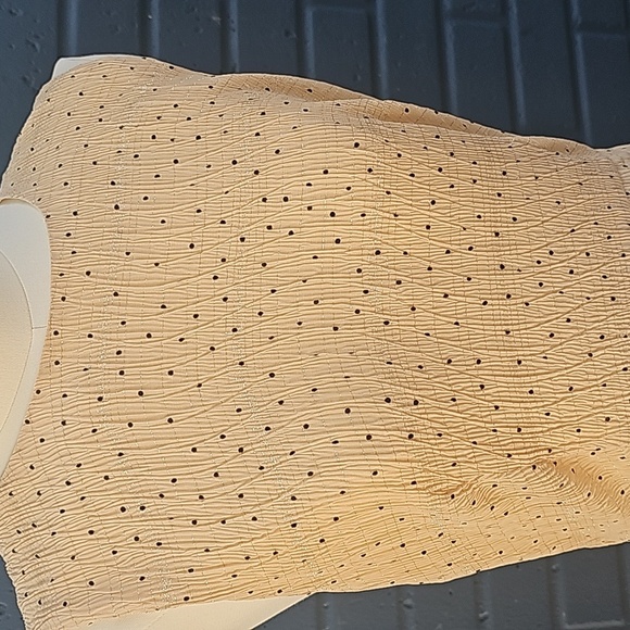 Anthropologie Sunday in Brooklyn  polka dot dress size m - Picture 2 of 4